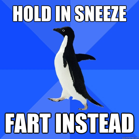 Hold in sneeze Fart instead - Hold in sneeze Fart instead  Socially Awkward Penguin