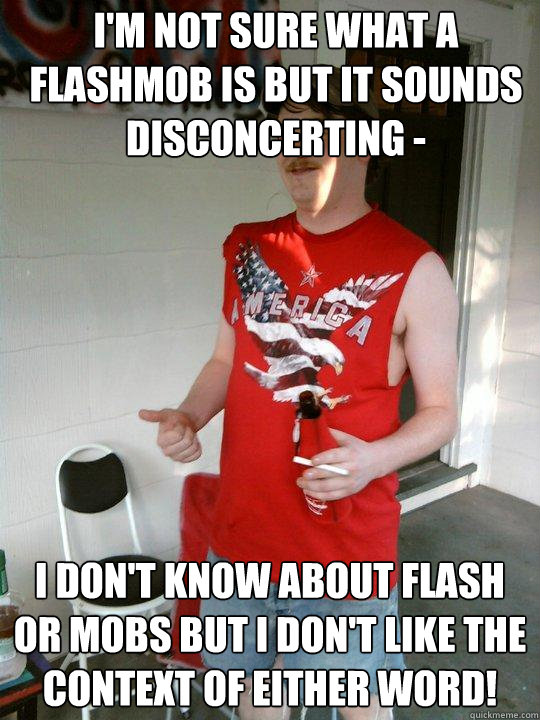 I'm not sure what a flashmob is but it sounds disconcerting -  I don't know about flash or mobs but I don't like the context of either word!  Redneck Randal