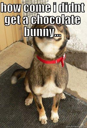 happy easter state park.... - HOW COME I DIDNT GET A CHOCOLATE BUNNY...  Good Dog Greg