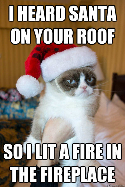 I heard Santa on your roof So I lit a fire in the fireplace  Grumpy Cat burns Santa