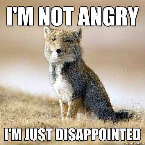 I'm Not Angry i'm just disappointed - I'm Not Angry i'm just disappointed  Disappointed Sand Fox