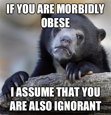 If you are morbidly obese I assume that you are also ignorant   Confession Bear
