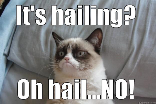 IT'S HAILING? OH HAIL...NO! Grumpy Cat