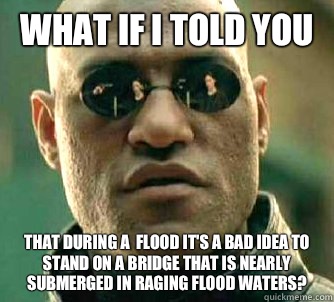 What if I told you That during a  flood it's a bad idea to stand on a bridge that is nearly submerged in raging flood waters?  What if I told you