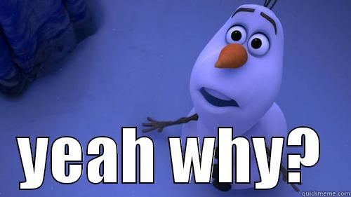 YEAH WHY? Misc