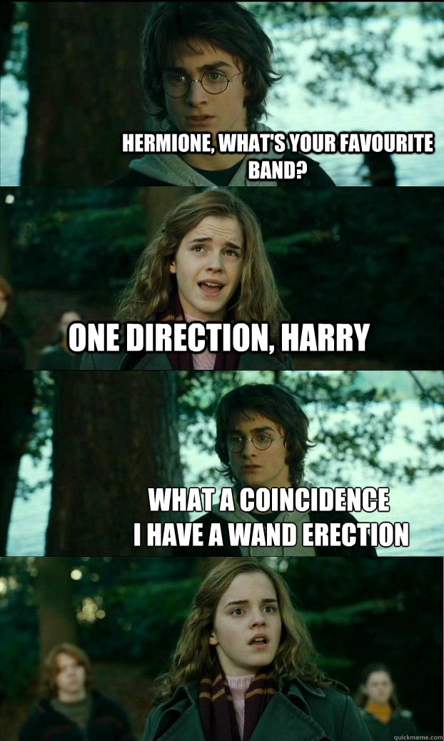 Hermione, what's your favourite band? One direction, Harry What a coincidence
 I have a wand erection  Horny Harry