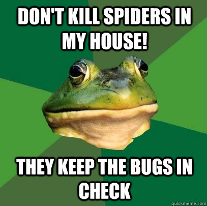 Don't kill spiders in my house! they keep the bugs in check - Don't kill spiders in my house! they keep the bugs in check  Foul Bachelor Frog