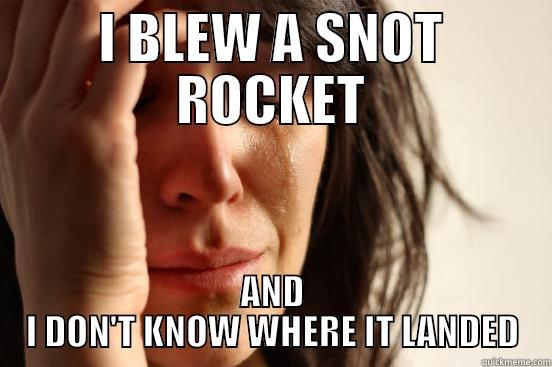 I BLEW A SNOT ROCKET AND I DON'T KNOW WHERE IT LANDED First World Problems