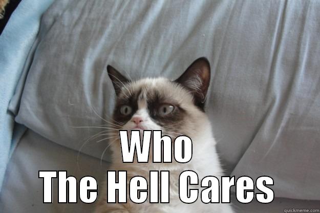  WHO THE HELL CARES Grumpy Cat