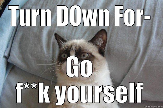 TURN DOWN FOR- GO F**K YOURSELF Grumpy Cat