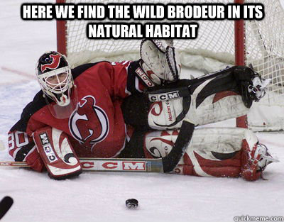 Here we find the wild Brodeur in its natural habitat - Here we find the wild Brodeur in its natural habitat  Brodeur