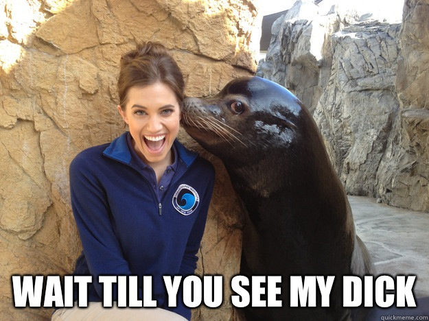  Wait till you see my dick  Sea Lion