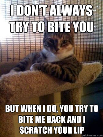 I don't always try to bite you but when I do, you try to bite me back and i scratch your lip  The Most Interesting Cat in the World