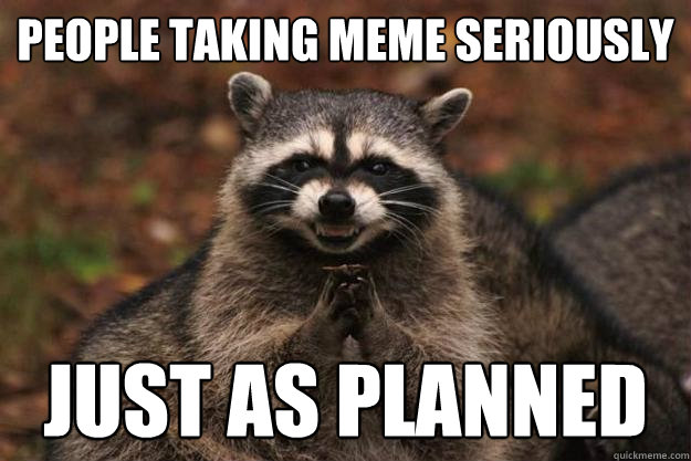 people taking meme seriously just as planned  Evil Plotting Raccoon