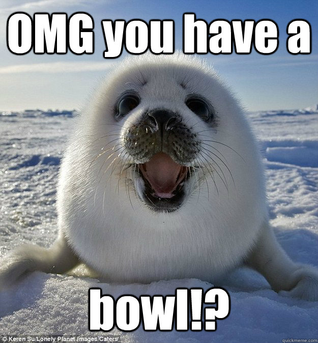 OMG you have a bowl!?  Easily Pleased Seal