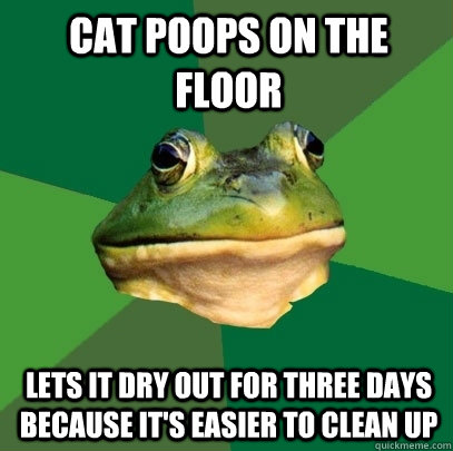 Cat poops on the floor Lets it dry out for three days because it's easier to clean up  Foul Bachelor Frog