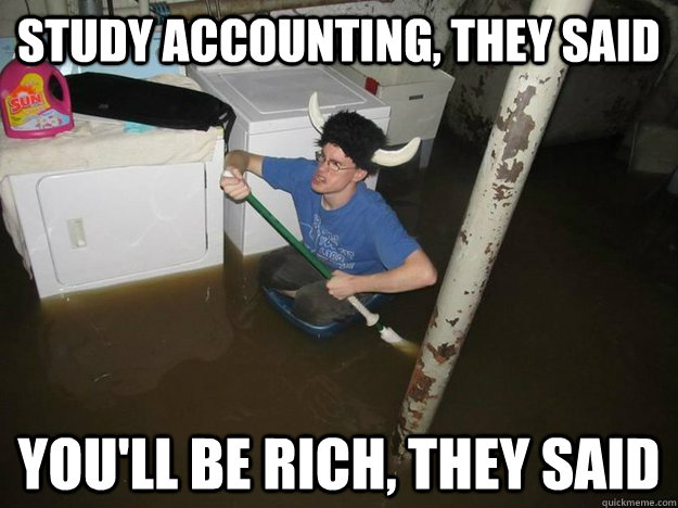 Study Accounting, they said You'll be rich, they said  Laundry Room Viking