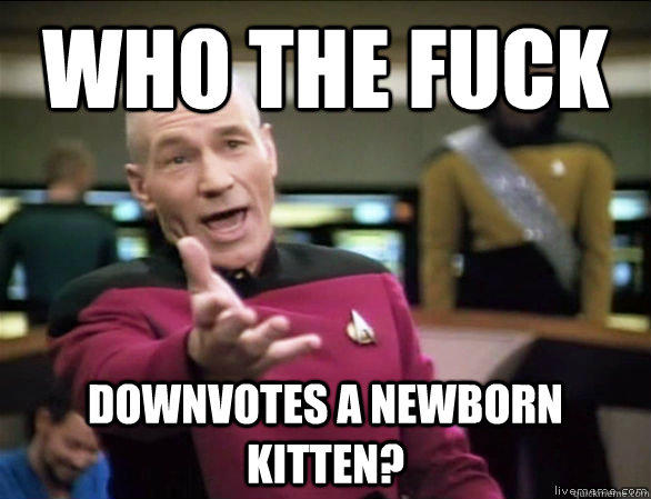 who the fuck downvotes a newborn kitten?  Annoyed Picard HD