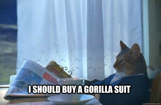 I should buy a gorilla suit  Sophisticated Cat