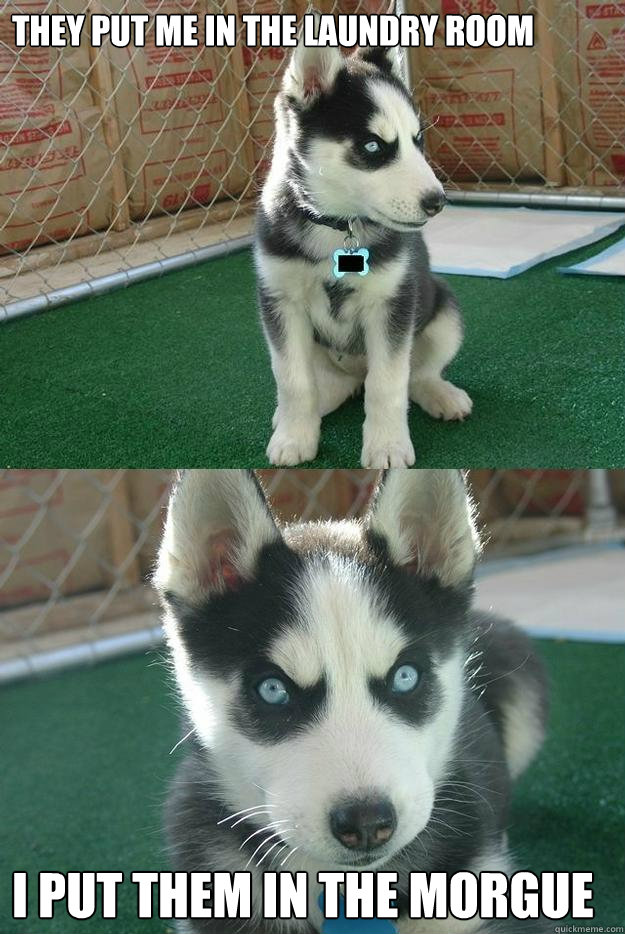 they put me in the laundry room i put them in the morgue  Insanity puppy