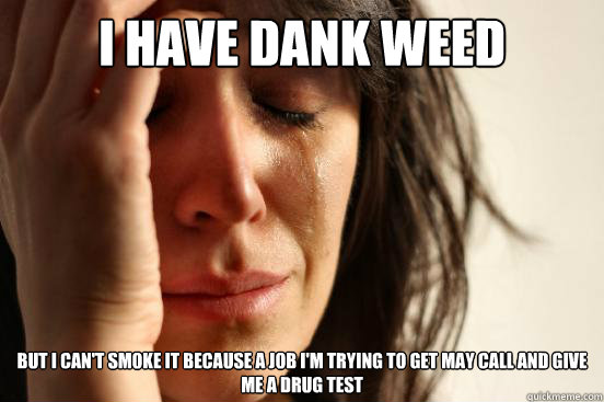I have dank weed But I can't smoke it because a job I'm trying to get may call and give me a drug test  First World Problems