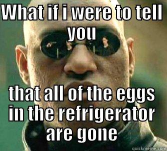 WHAT IF I WERE TO TELL YOU THAT ALL OF THE EGGS IN THE REFRIGERATOR ARE GONE Matrix Morpheus