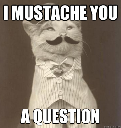 I Mustache you A Question - I Mustache you A Question  Original Business Cat