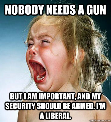 NOBODY NEEDS A GUN BUT I AM IMPORTANT, AND MY SECURITY SHOULD BE ARMED. I'M A LIBERAL. - NOBODY NEEDS A GUN BUT I AM IMPORTANT, AND MY SECURITY SHOULD BE ARMED. I'M A LIBERAL.  IM A LIBERAL
