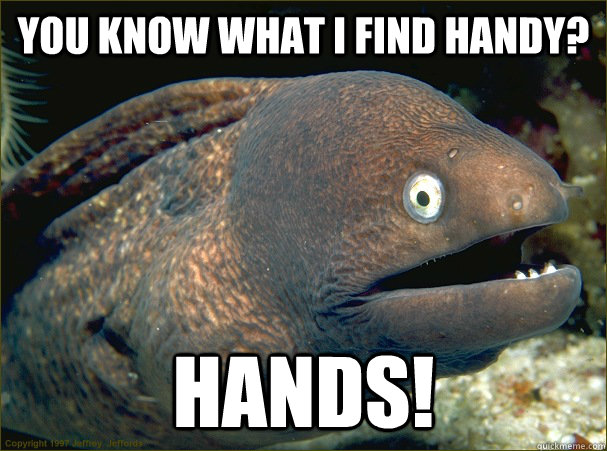 You know what i find handy? Hands!  Bad Joke Eel