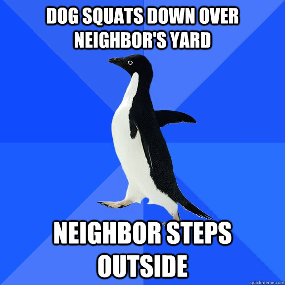 Dog squats down over neighbor's yard Neighbor steps outside - Dog squats down over neighbor's yard Neighbor steps outside  Socially Awkward Penguin