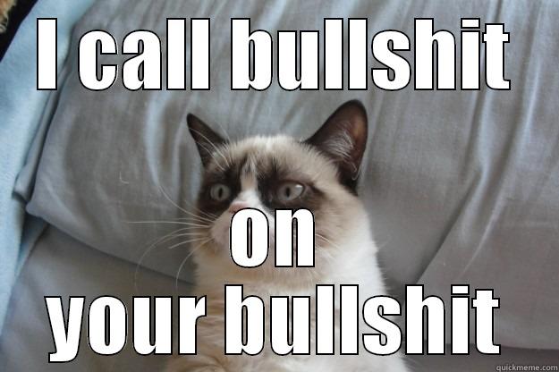 I CALL BULLSHIT ON YOUR BULLSHIT Grumpy Cat