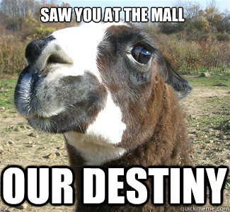 Saw you at the mall OUR DESTINY  Drama Llama
