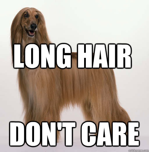 Long hair don't care - Long hair don't care  Misc