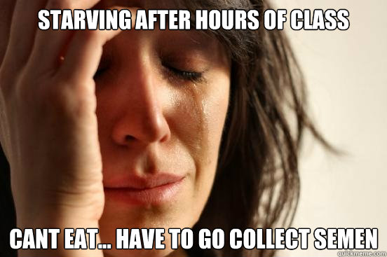 Starving after hours of class Cant eat... have to go collect semen   First World Problems