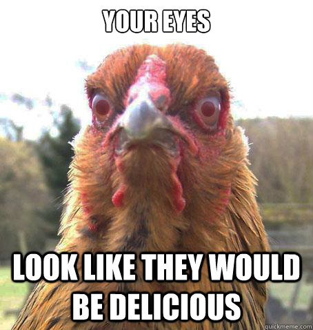 Your Eyes Look like they would be delicious  RageChicken