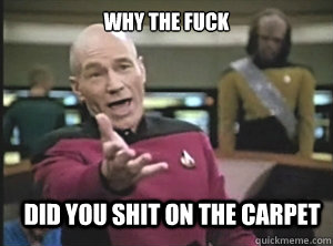 why the fuck did you shit on the carpet  Annoyed Picard