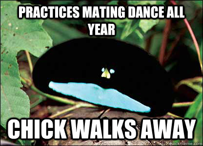 Practices mating dance all year chick walks away  