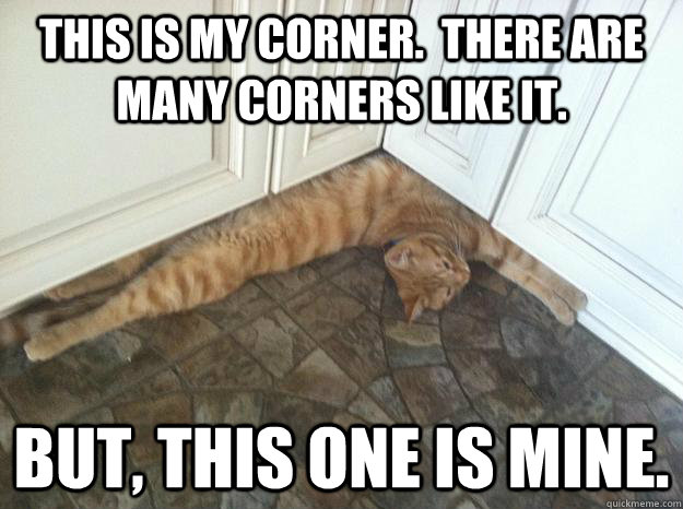 This is my corner.  There are many corners like it.  But, this one is mine.  - This is my corner.  There are many corners like it.  But, this one is mine.   Corner Cat
