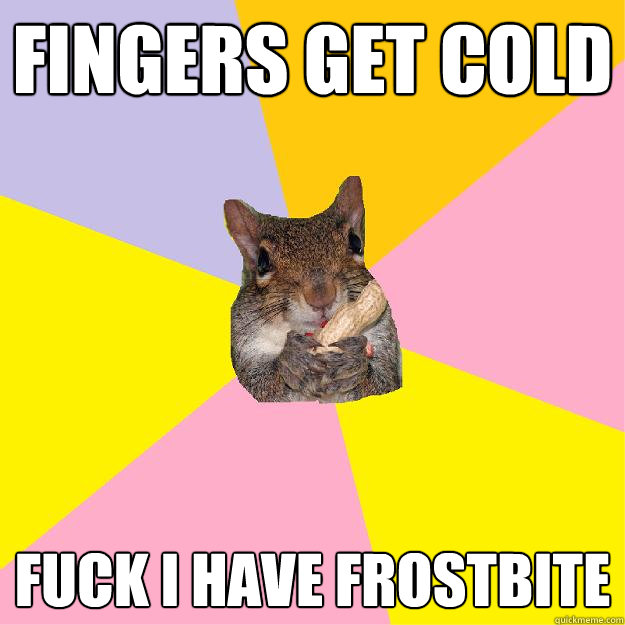 Fingers get cold fuck i have frostbite  Hypochondriac Squirrel