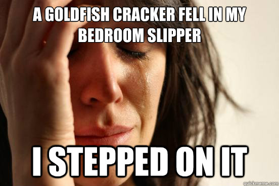 a goldfish cracker fell in my bedroom slipper i stepped on it  First World Problems