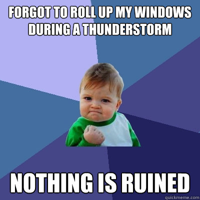 Forgot to roll up my windows during a thunderstorm Nothing is ruined  Success Kid