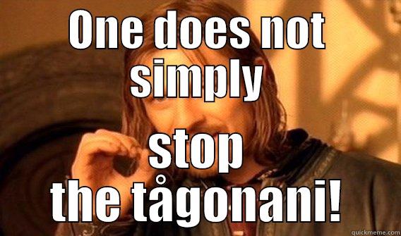 ONE DOES NOT SIMPLY STOP THE TÅGONANI! One Does Not Simply