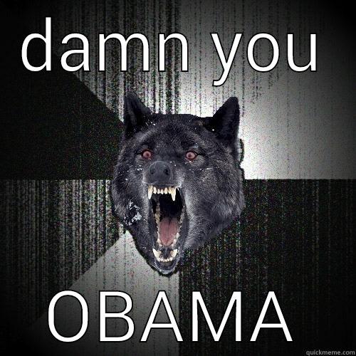 DAMN YOU OBAMA Insanity Wolf