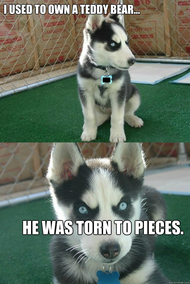 I used to own a teddy bear... He was torn to pieces.  Insanity puppy