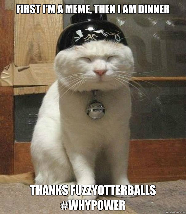 First I'm a meme, then I am dinner Thanks Fuzzyotterballs
#WHYPOWER  Ching Chong