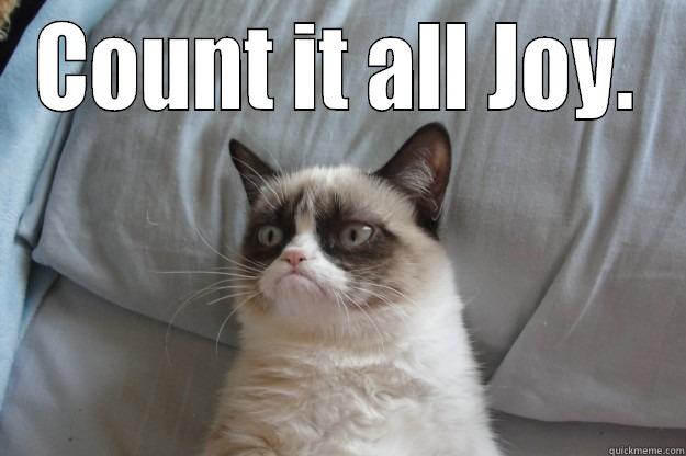 COUNT IT ALL JOY.  Grumpy Cat