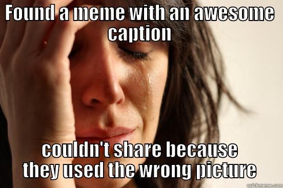 FOUND A MEME WITH AN AWESOME CAPTION COULDN'T SHARE BECAUSE THEY USED THE WRONG PICTURE First World Problems