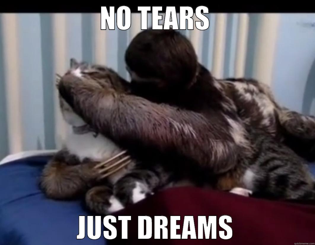 NO TEARS JUST DREAMS Misc