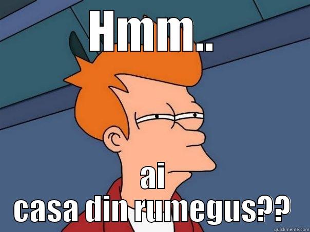 casadin rumegus - HMM.. AI CASA DIN RUMEGUS?? Futurama Fry