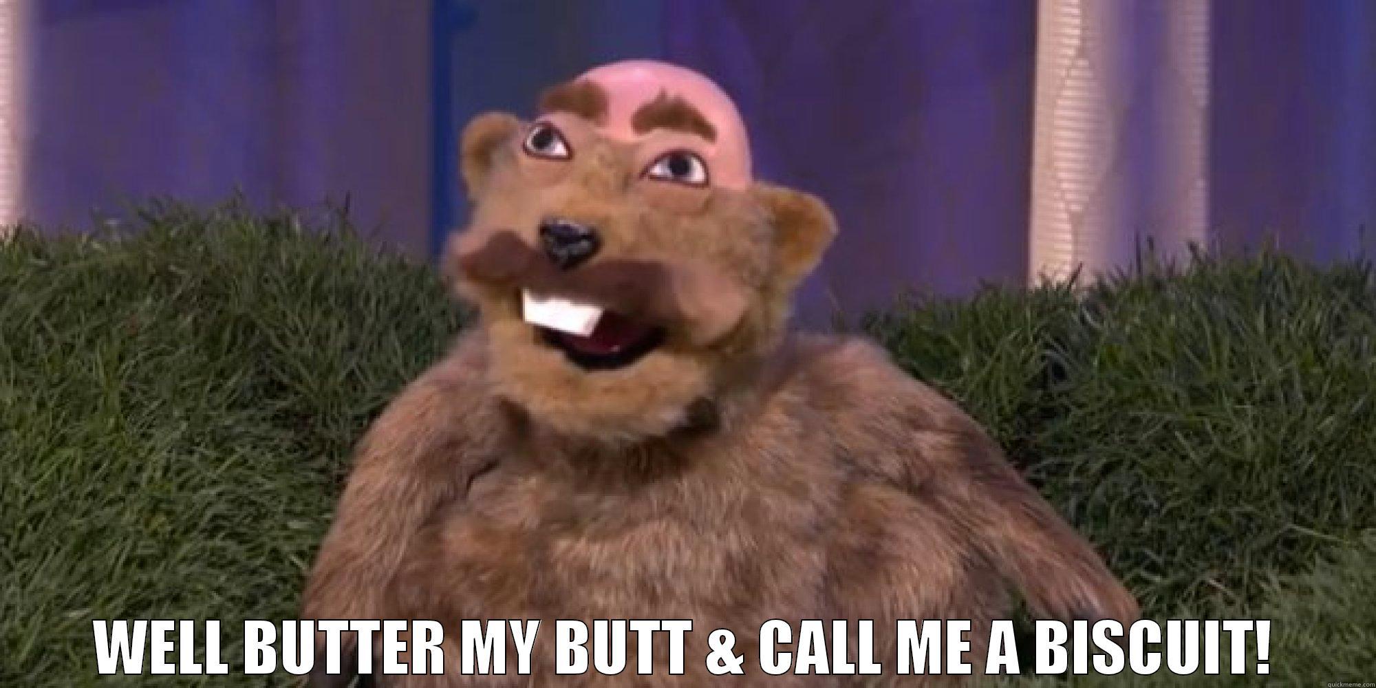 punxsutawney dr. phil conan -  WELL BUTTER MY BUTT & CALL ME A BISCUIT! Misc